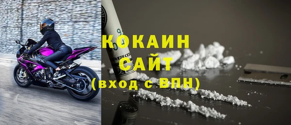 твердый Аркадак