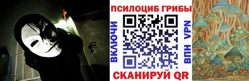 Псилоцибиновые грибы MAGIC MUSHROOMS  кракен   Перевоз  наркотики 