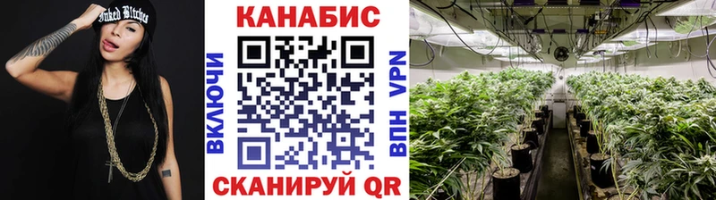 hydra ССЫЛКА Перевоз Канабис гибрид